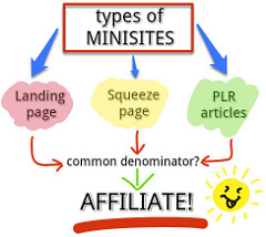 Types of Mini Sites diagram